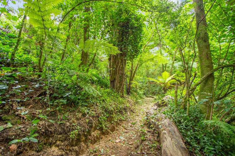 266 Pukehangi Road Westbrook_19