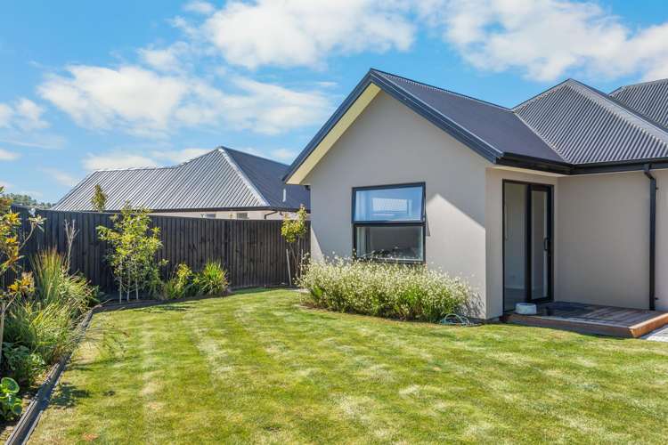 10 Snow Cup Close Lincoln_36