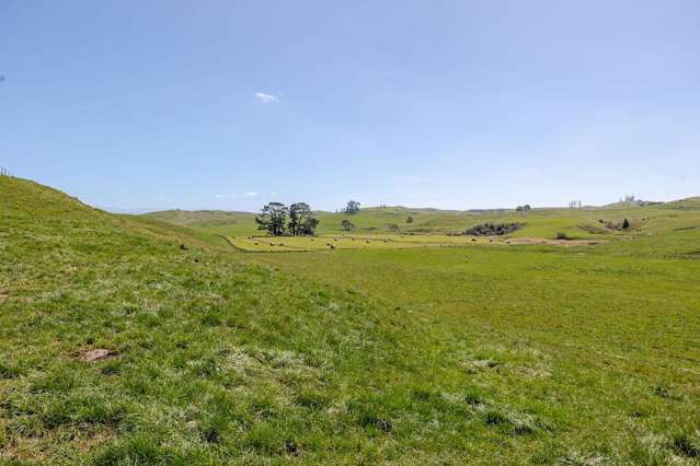 61 Church Road Dannevirke_4