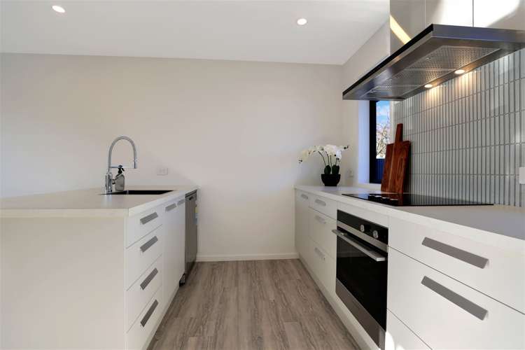 42a Thomson Street Tinwald_3