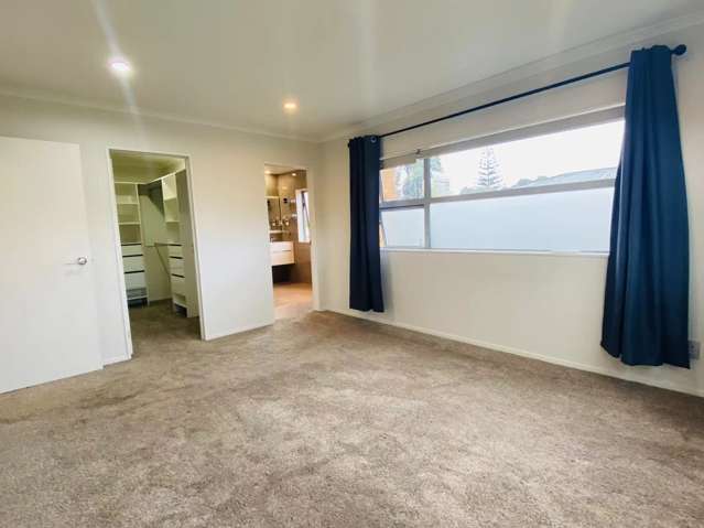 45 Ellis Avenue Mount Roskill_3