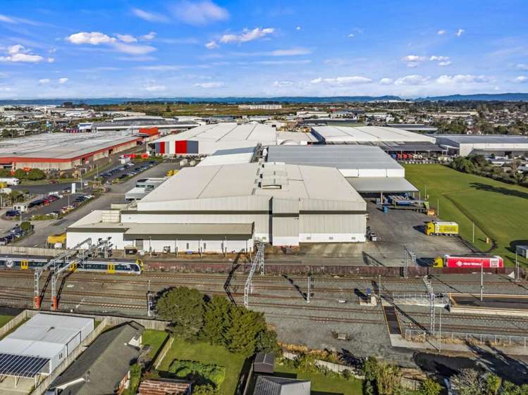 17 Nesdale Avenue Wiri_6