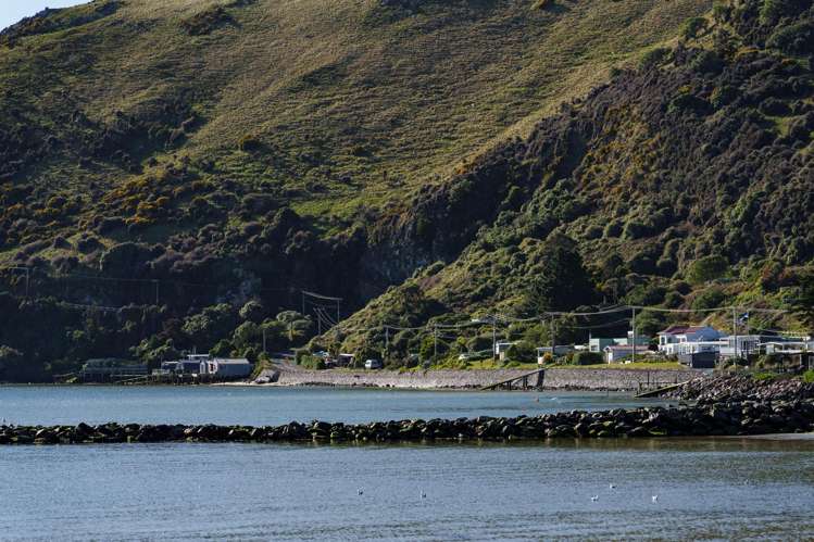 928 Harington Point Road Harington Point_30