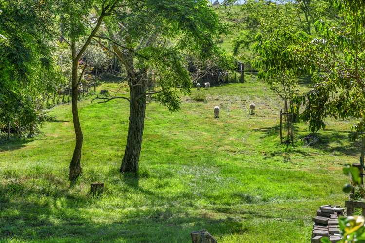 1 Paratu Road Richmond Downs_41