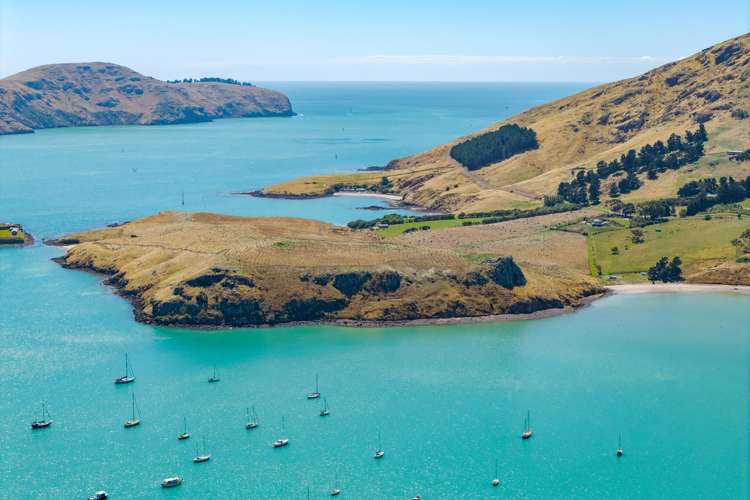 88 Waipapa Avenue Diamond Harbour_29