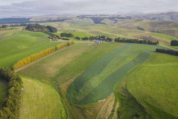 98 Johnstons Road Five Forks and Surrounds_7