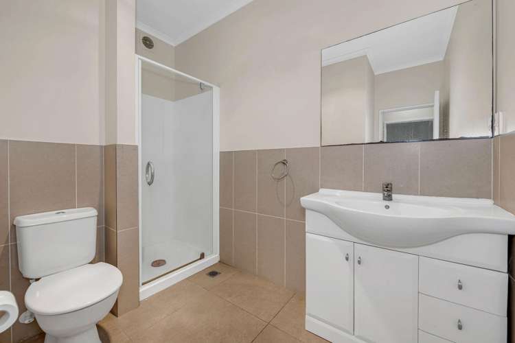 23 Triumph Road Flat Bush_14