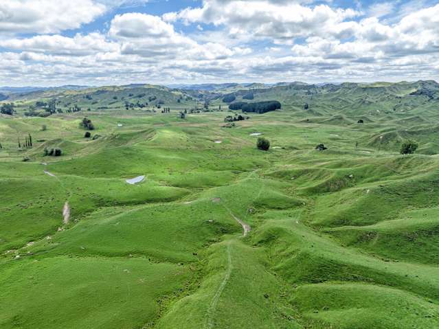 Well-balanced 647-hectares in Prime Location.