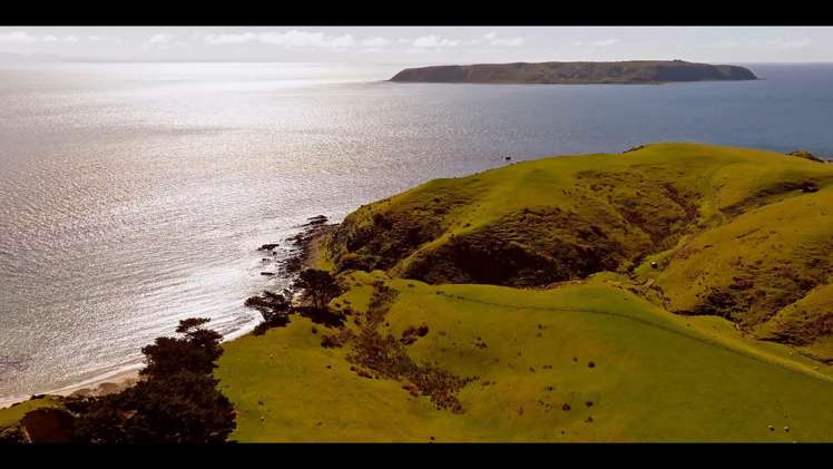 Pikarere Farm Porirua_10