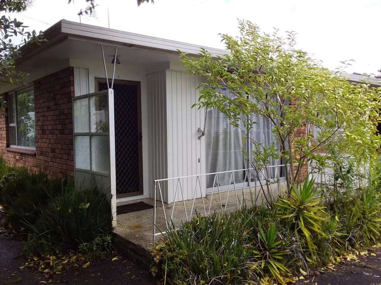 1/2 Peary Road Mount Eden_5