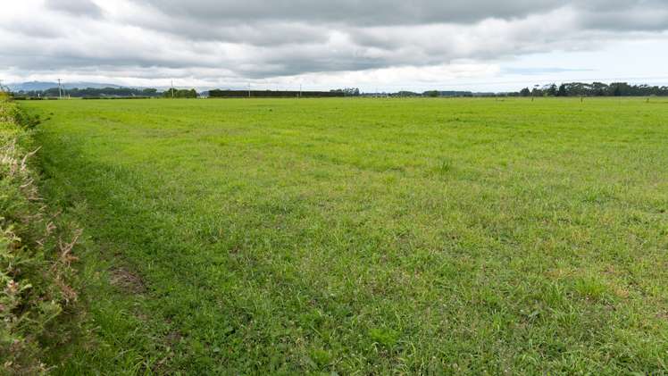 16 Days Road Springston_2