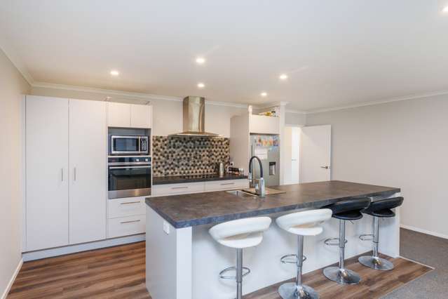 25 Monarch Drive Ashhurst_2