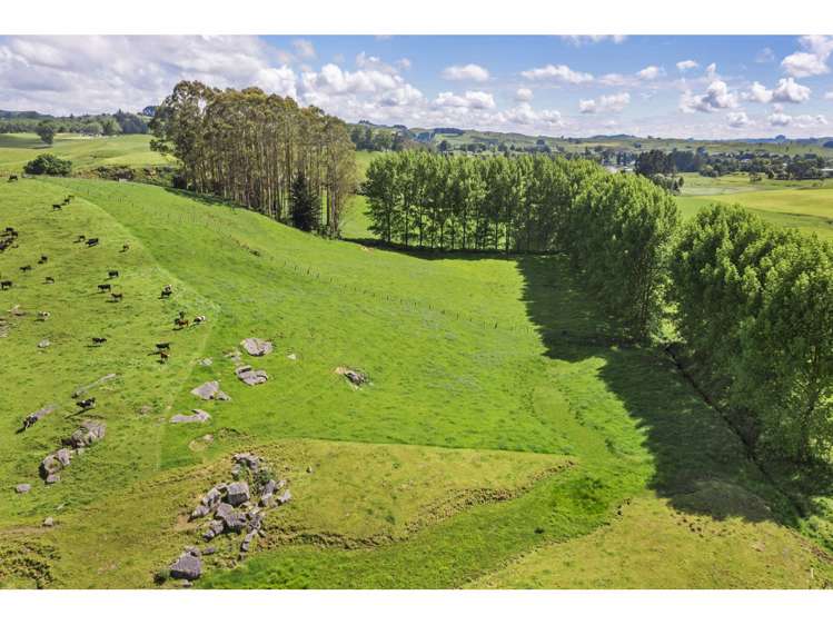 80 State Highway 3 Piopio_6