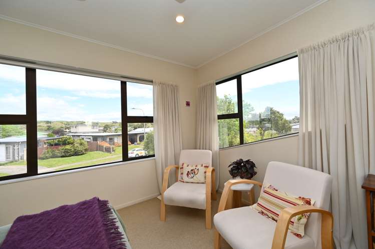 17 Sutherland Street Tamatea_16