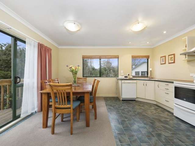 95b Clyde Street Hamilton East_4