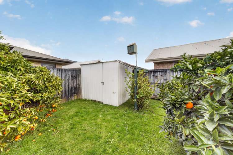 29 Sayer Street Frankton_23