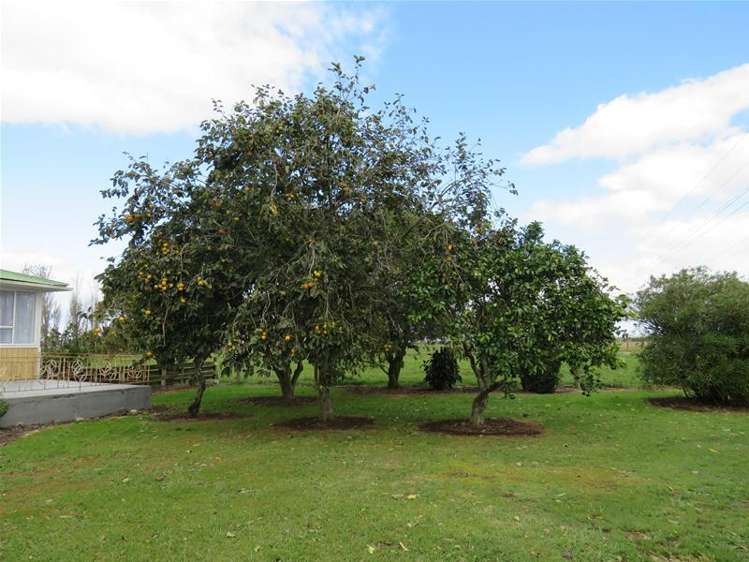 3613 State Highway 12 Ruawai_9