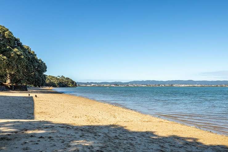 The 1970s beachfront property at 500 Point Chevalier Road has an RV of $5m and is surrounded by impressive homes including a Grand Designs concrete house. Photo / Supplied