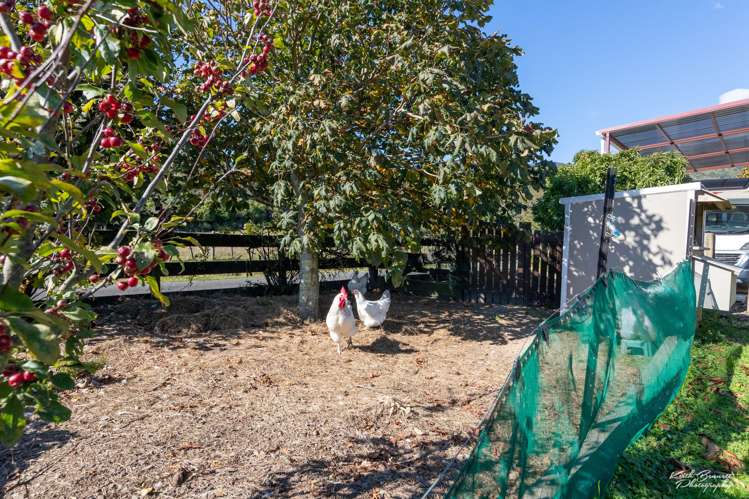 270a Parkes Line Road Maymorn_13