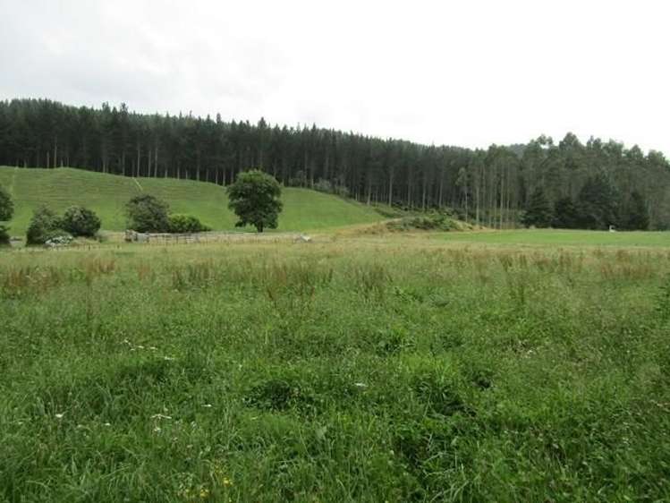 1391 Manawahe Road Manawahe_6