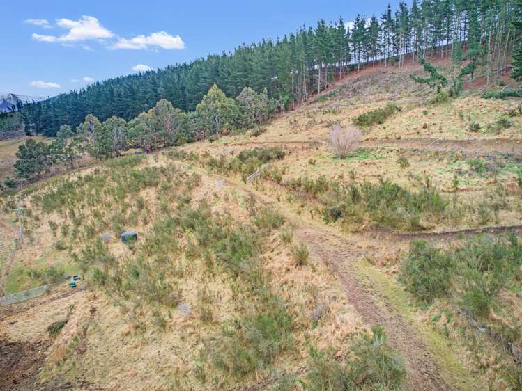 Diggers Gully Road Kurow_15