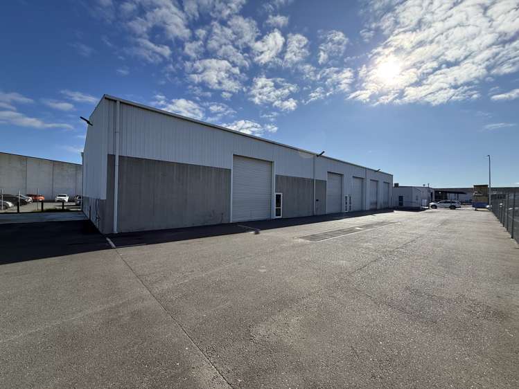 6 Macrae Avenue Mount Maunganui_5