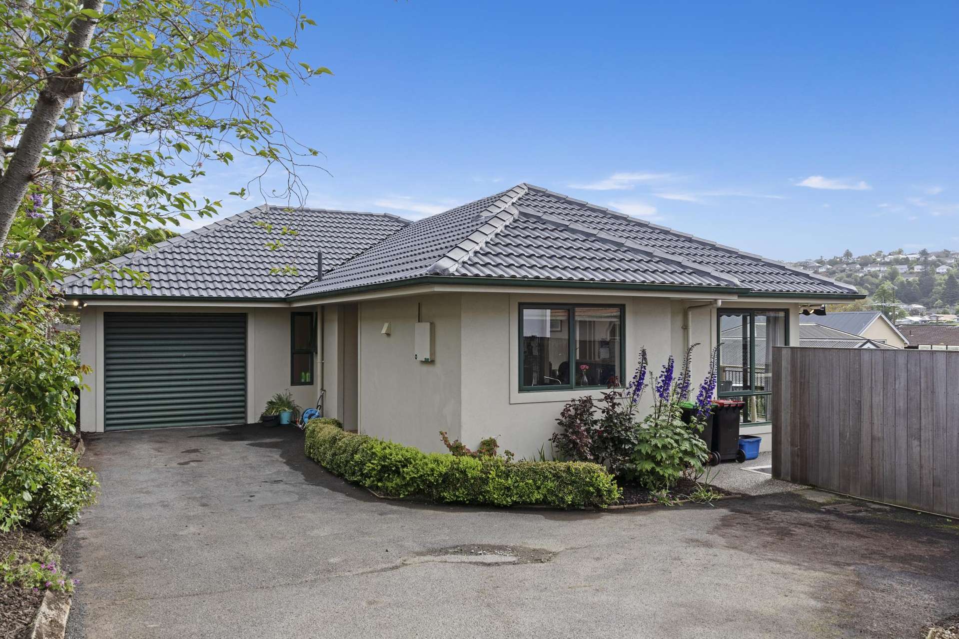 29B Butler Street Maori Hill_0