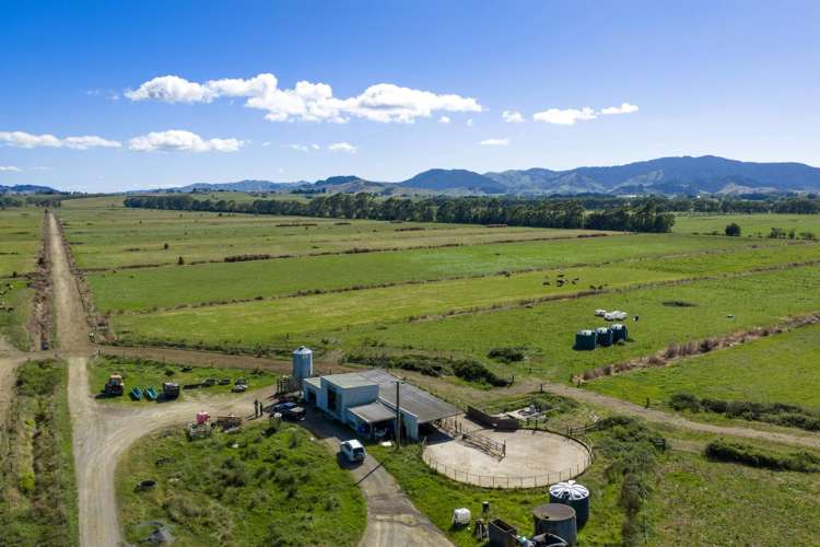 331 Kneebone Road Orini_14