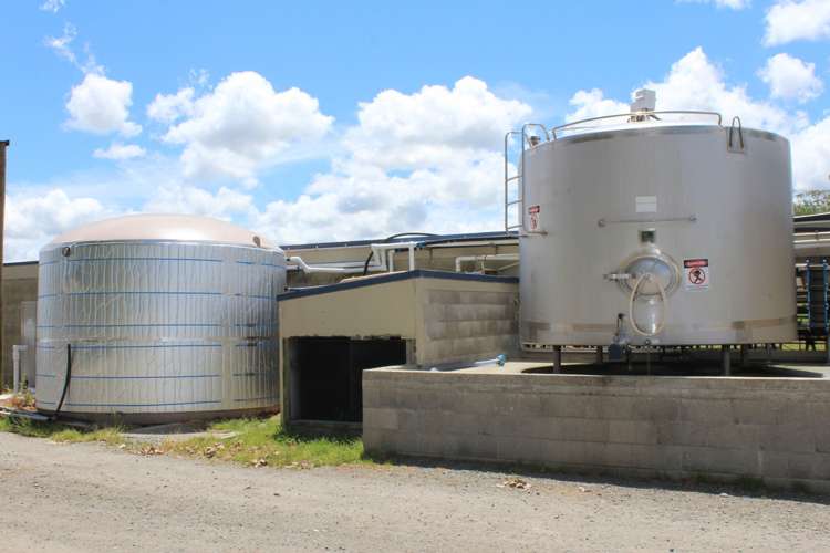 269 Kokopu Block Road Kokopu_8