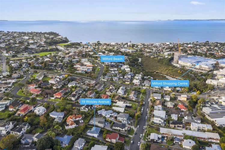 1/19 Wolsley Avenue Milford_17