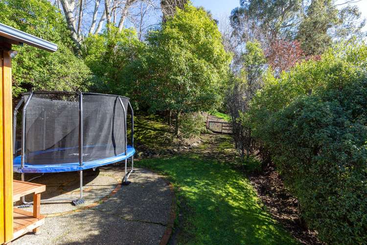 46 Bishopdale Avenue Bishopdale_14