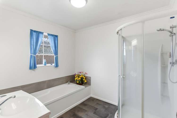 22 Roosevelt Street Levin_10