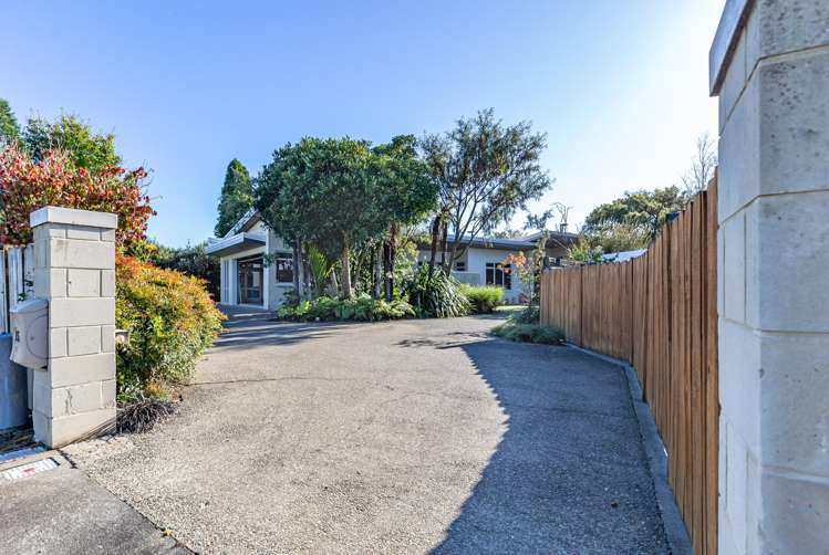 15 Homewood Avenue Levin_20