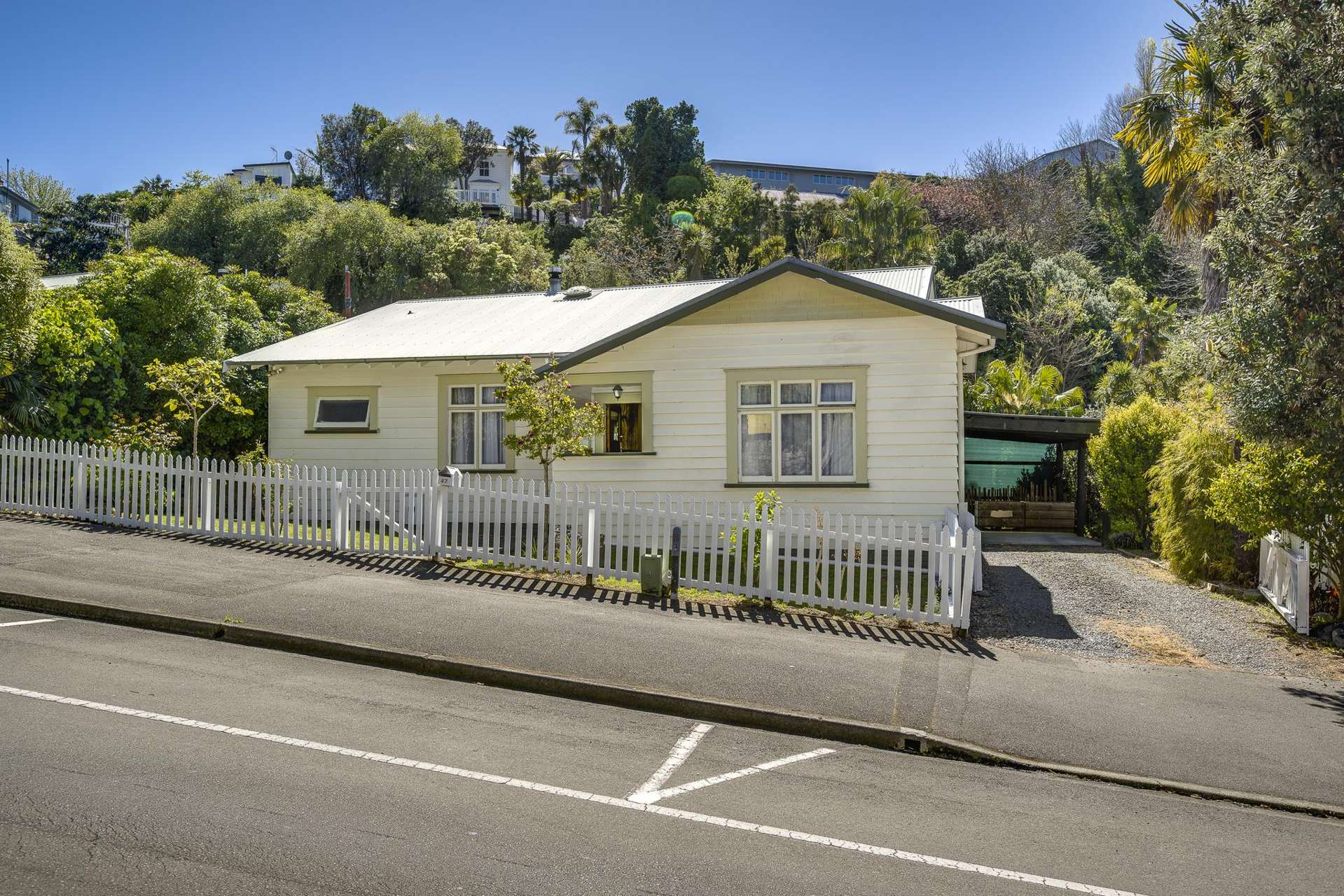 47 Shakespeare Road Bluff Hill_0