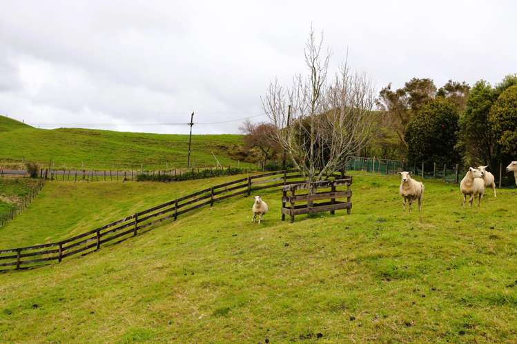 772 Upland Road Egmont Village_26