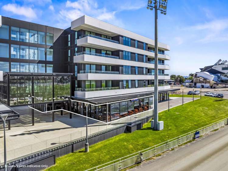 223 Greenlane West Epsom_5