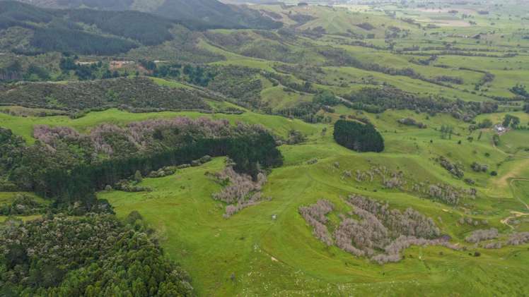 944 Waiti Road Tahuna_12