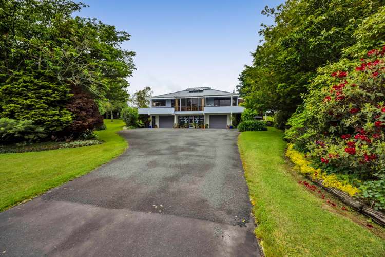 88 Rewa Street Inglewood_1