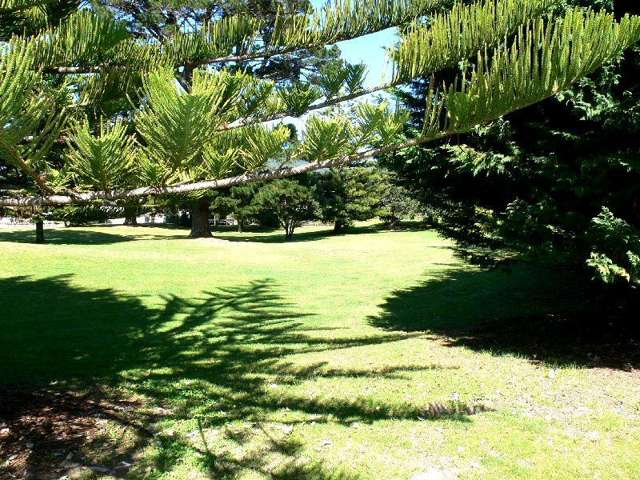 15 Kennedy Park Drive Pauanui_1