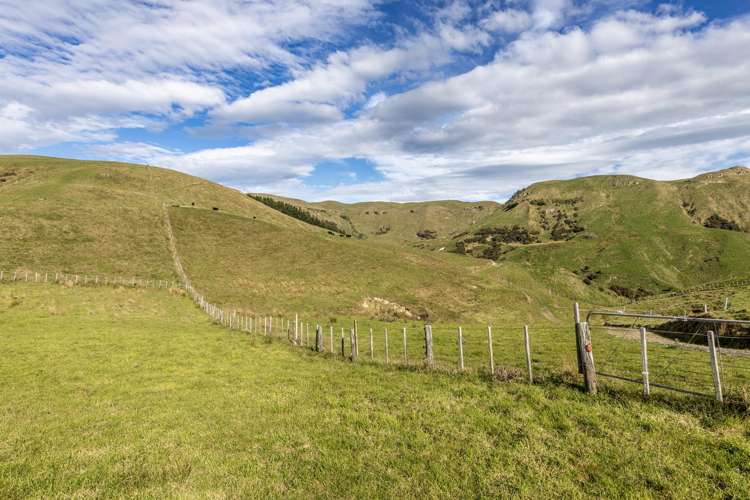467 Waitahora Valley Road Dannevirke_5