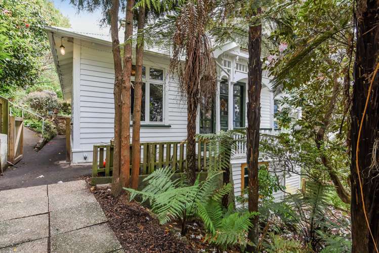 24 Braeview Crescent Maori Hill_1