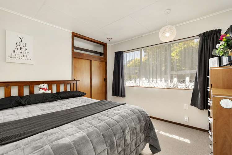 8 Radiata Grove Brown Owl_9