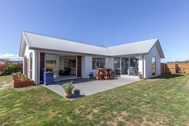 113 Southfield Drive Lincoln_2