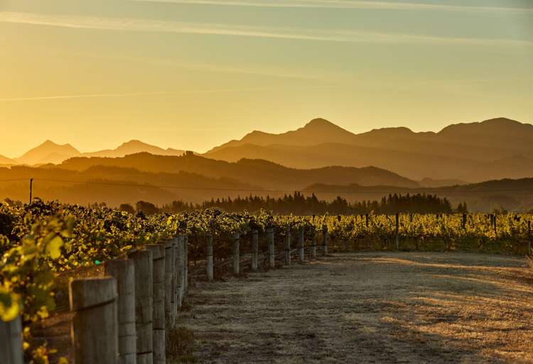 216 Bedford Road Renwick_5