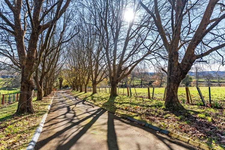 679 Runciman Road Drury_23