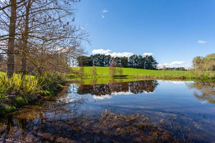 968 Tauhei Road Tauhei_7