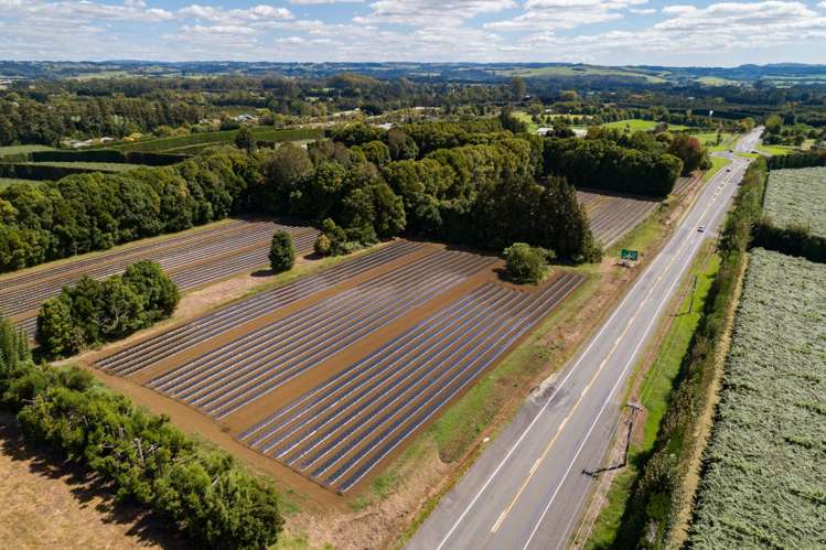 1433 State Highway 10 Kerikeri_9