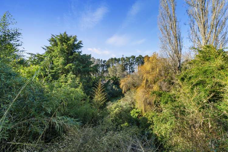 11b Anthony Crescent Bader_18