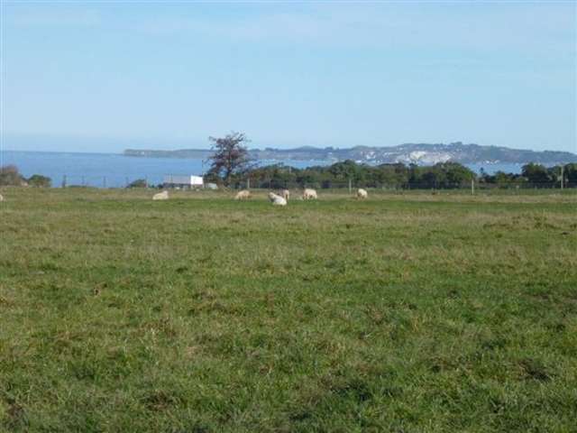 20d Kanuka Lane Hapuku_1