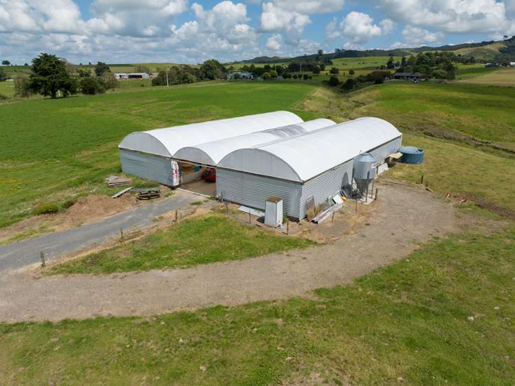 224 Herbert Road Morrinsville_10
